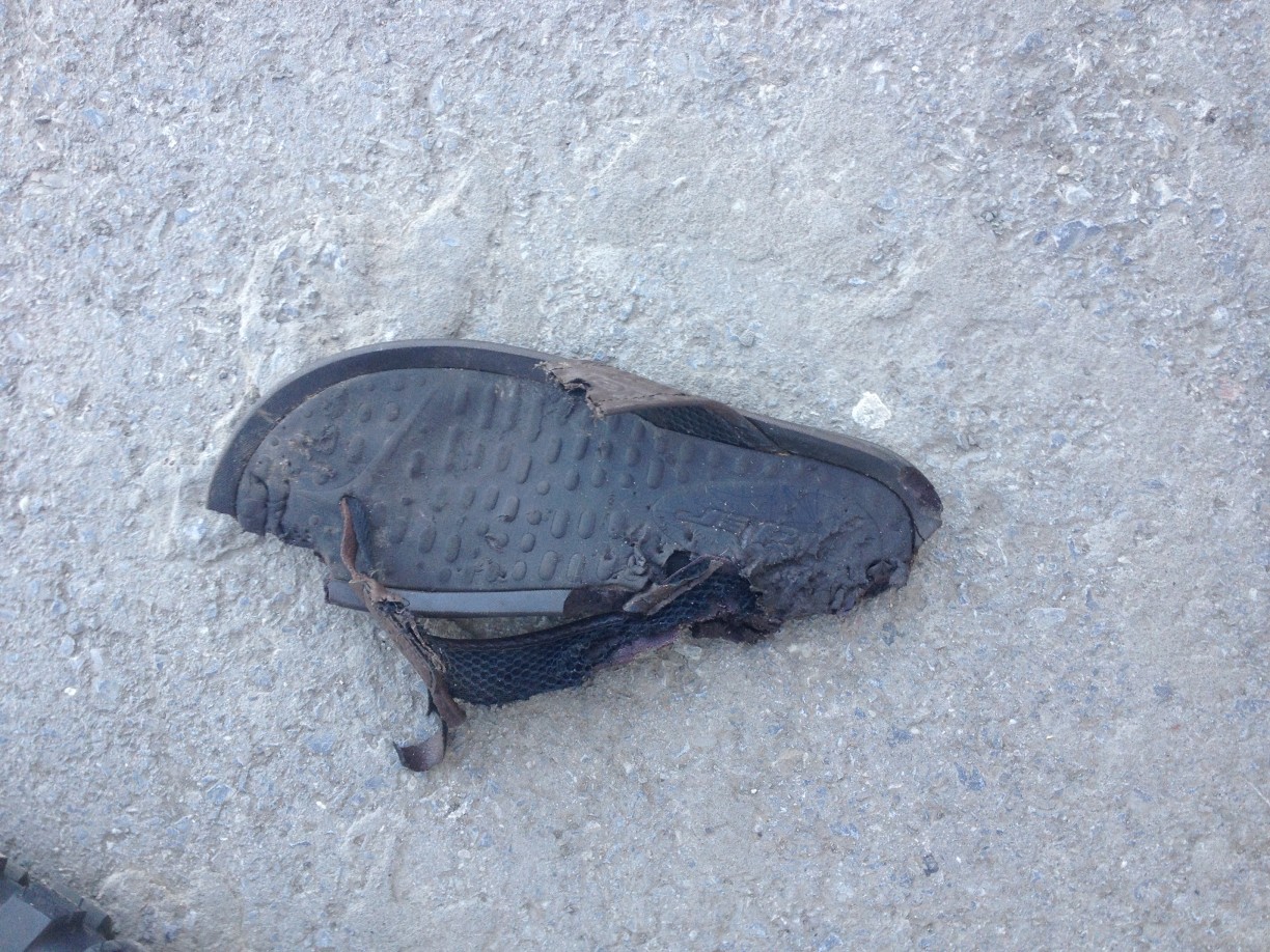 Mistvieh - heimtückisches ;-)