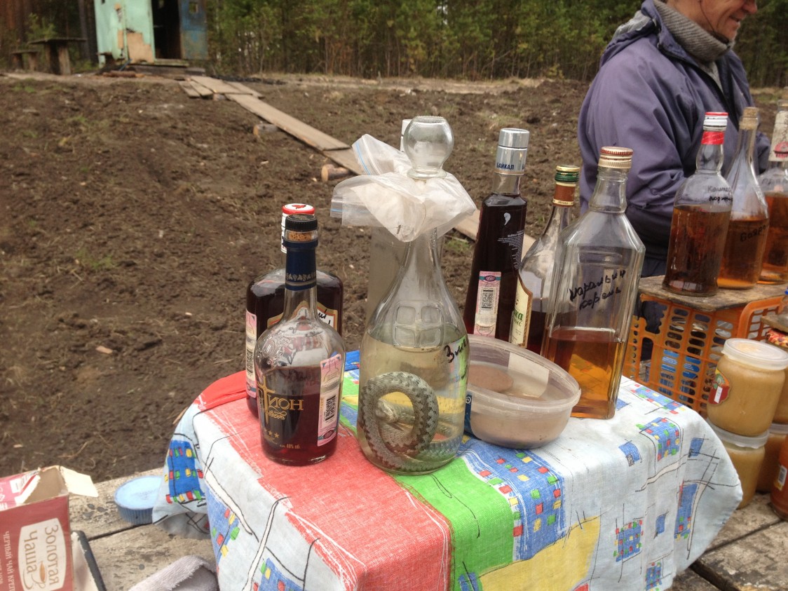 ...wir empfehlen bei Rückenschmerzen - Serpentol...